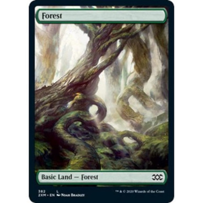 Forest (Full-Art) (#382) | Double Masters