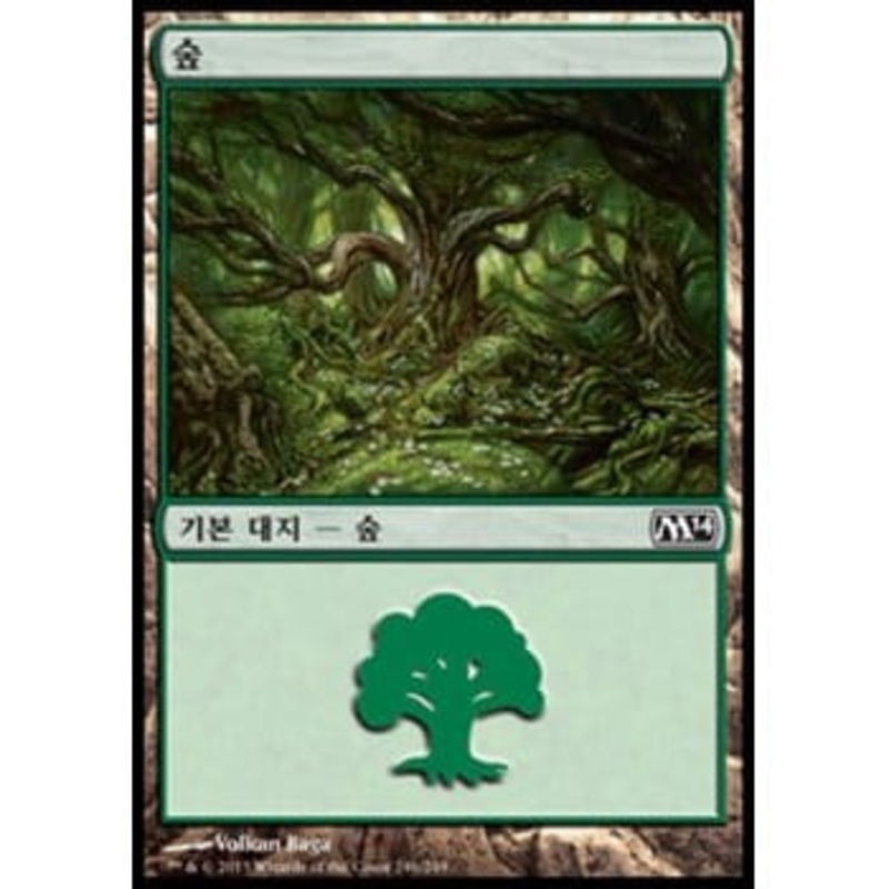 Forest (#246) (Korean)