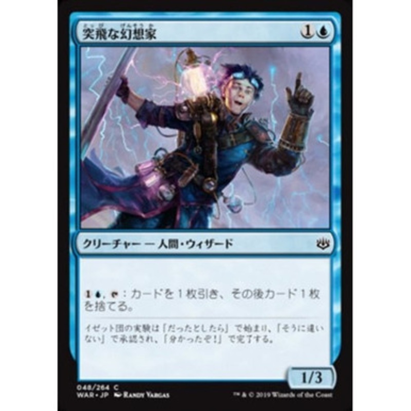 Erratic Visionary (Japanese)