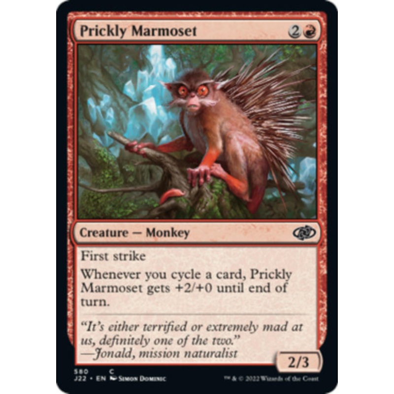 Prickly Marmoset | Jumpstart 2022