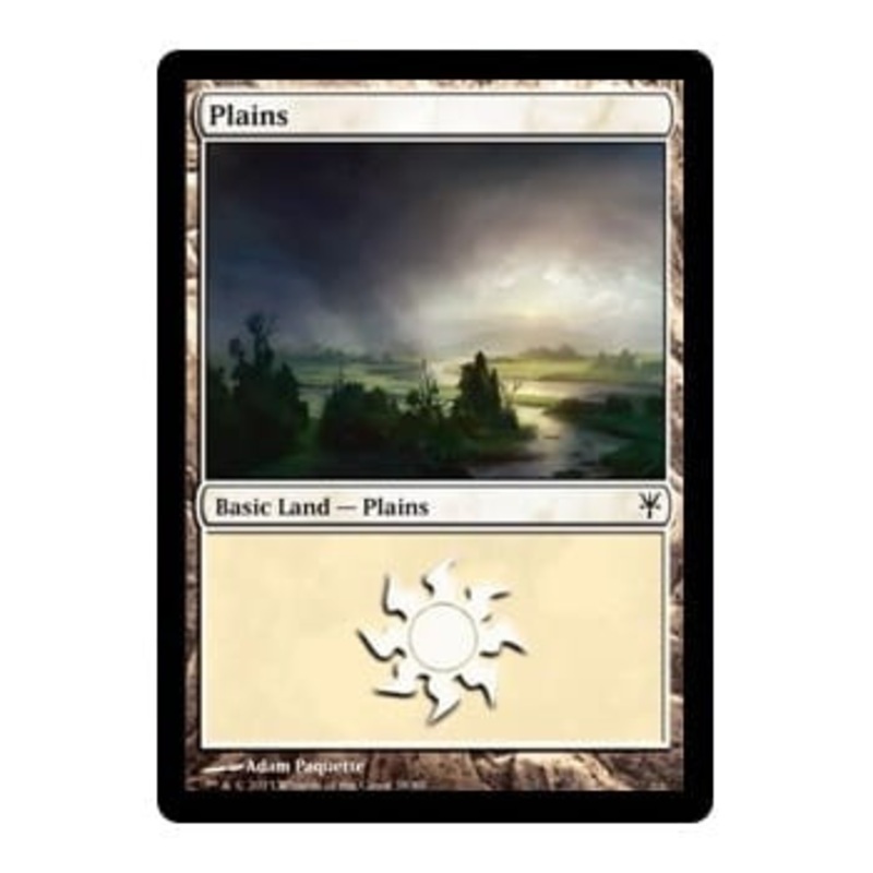 Plains #38