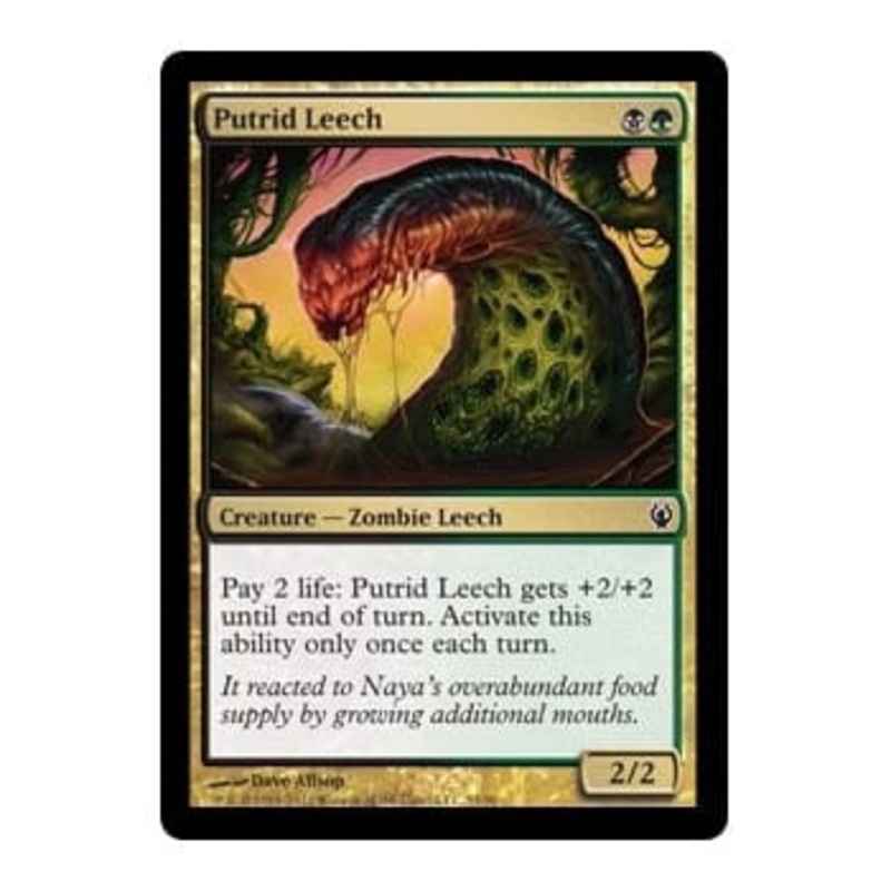 Putrid Leech