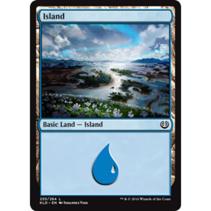 Island (#255) (foil)