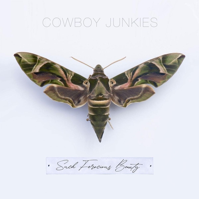 Cowboy Junkies - Such Ferocious Beauty Vinyl New