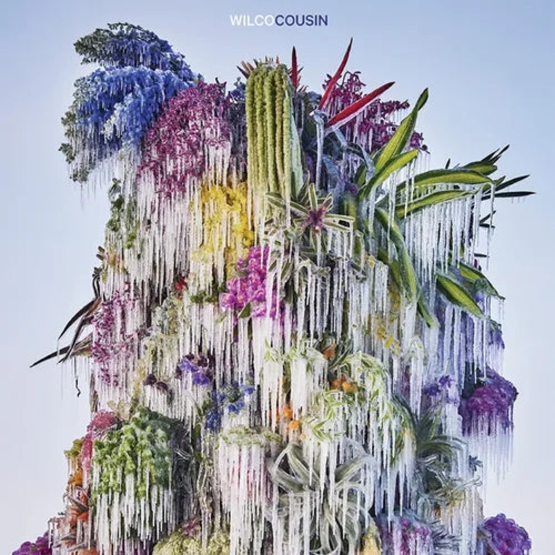 Wilco - Cousin Vinyl New
