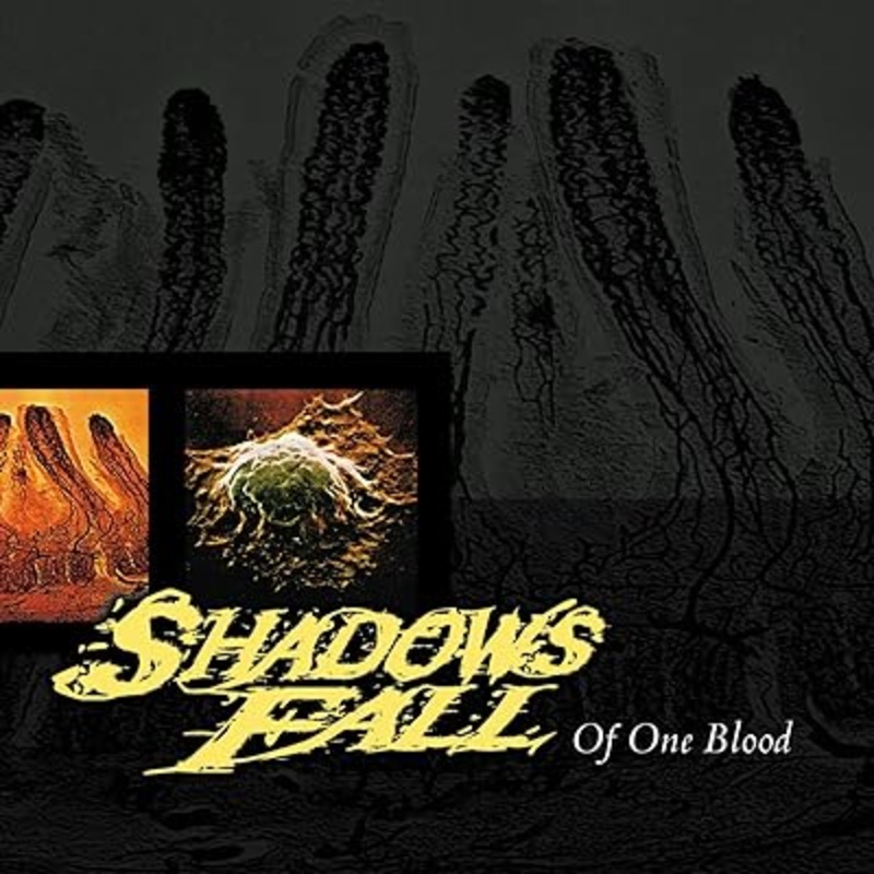 Shadows Fall - Of One Blood Vinyl New