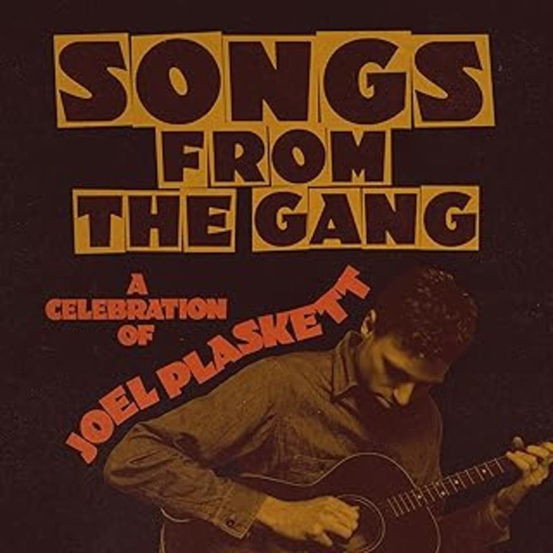 Various Artists - Songs From The Gang (Joel Plaskett Tribute 2Lp) Vinyl New