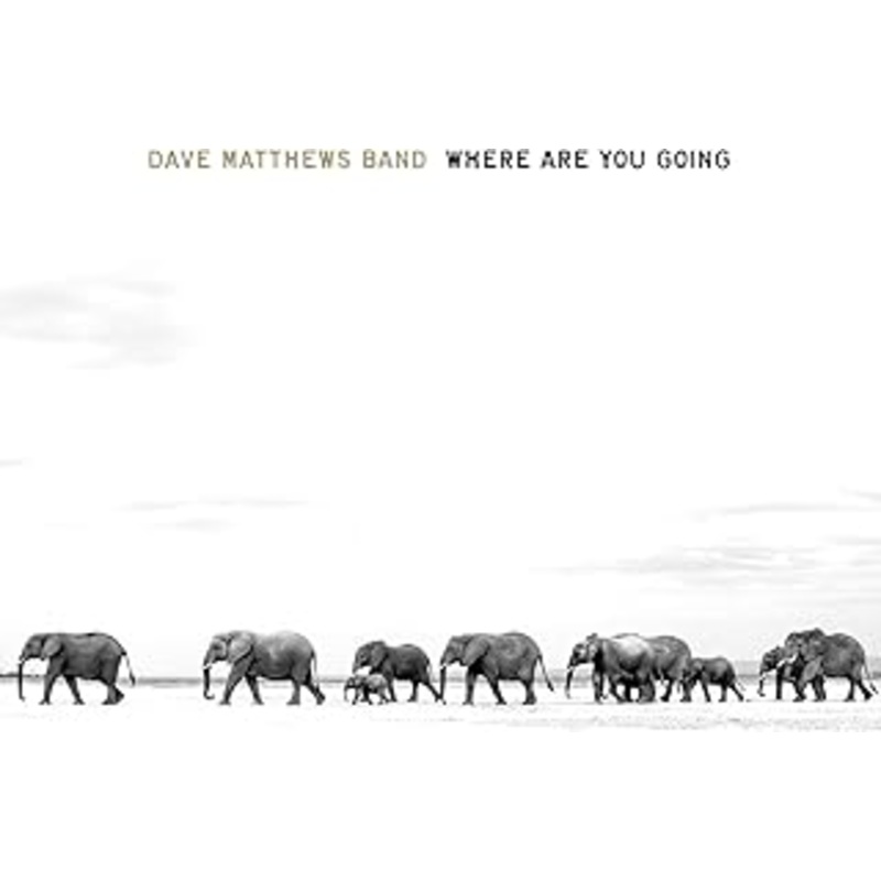 Dave Matthews Band - Where Are You Going: The Singles (2Lp) Vinyl New