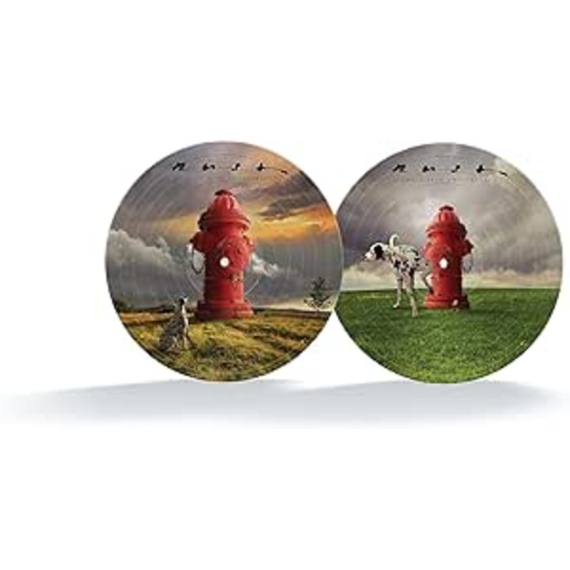 Rush - Signals (40Th Anniversary Picture Disc) Vinyl New