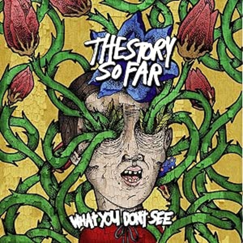 Story So Far, The - What You Don't See Vinyl New