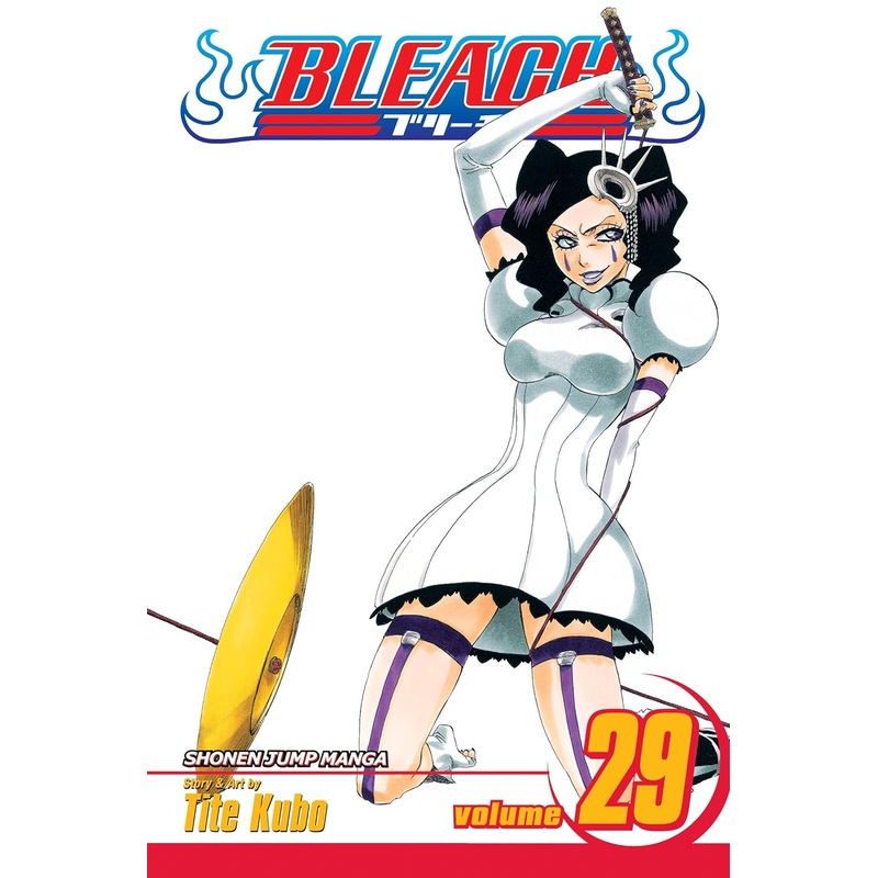 Bleach Vol 29 Manga Used