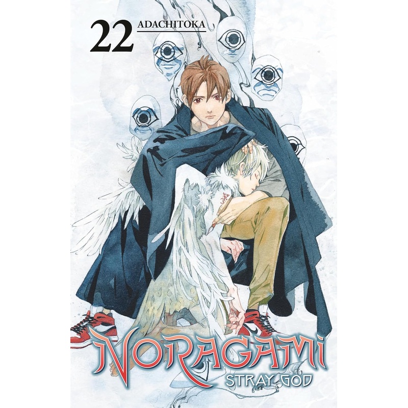 Noragami Stray God Vol 22 Manga Used