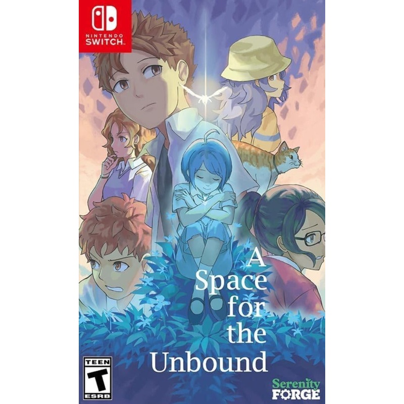 A Space For The Unbound Switch Used