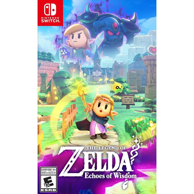 Legend of Zelda Echoes of Wisdom Switch Used