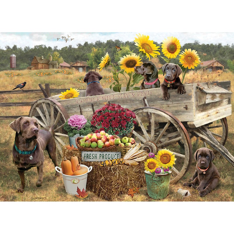 Choc Wagon