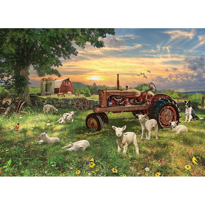 Field at Sunrise