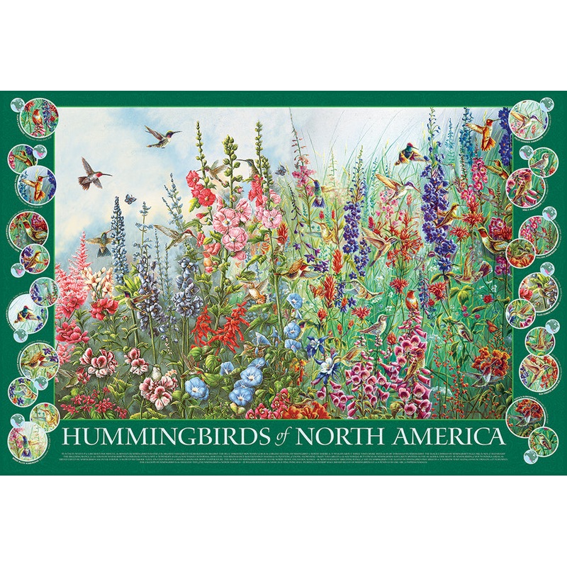 Hummingbirds of North America (2000pc)