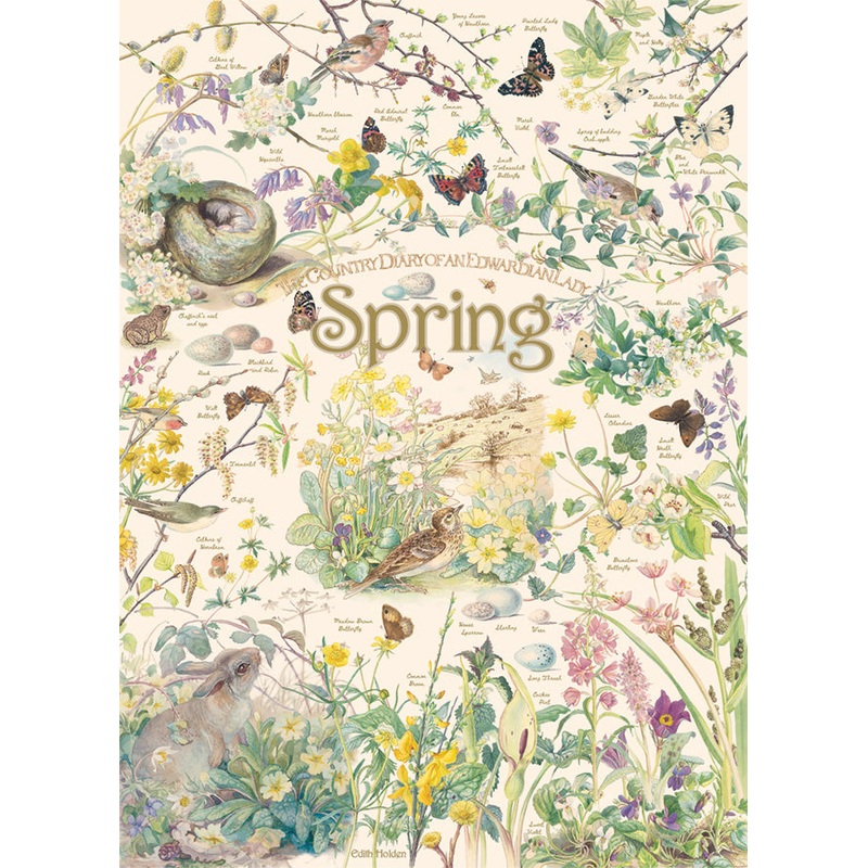 Country Diary: Spring