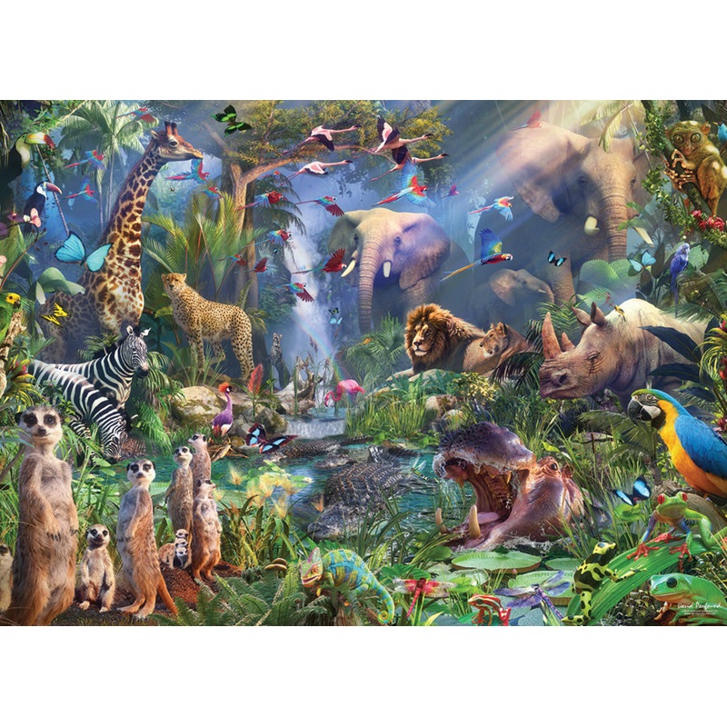 Into the Jungle