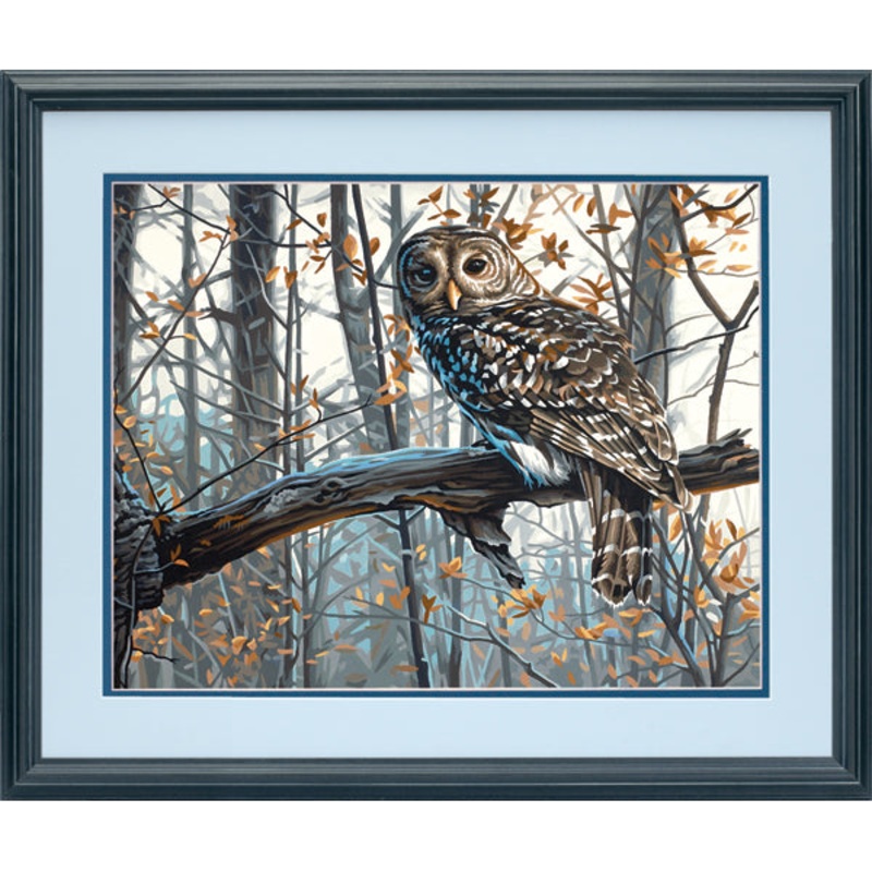Paintworks PBN Wise Owl