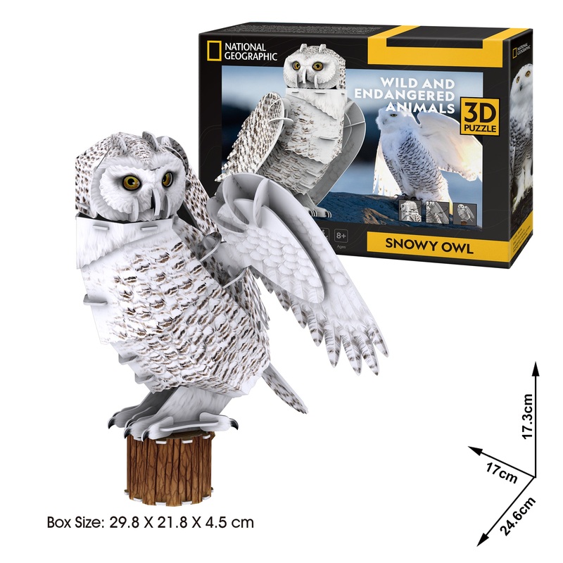 Snowy Owl (3D Puzzle)