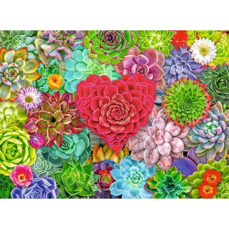 Succulent Love (500 piece)