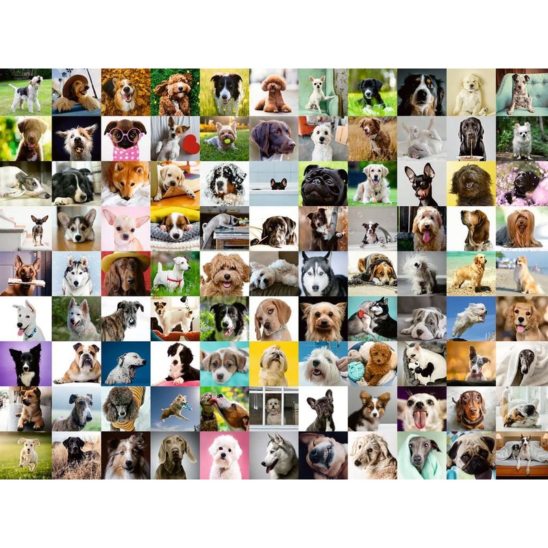 99 Lovable Dogs (750 pc)