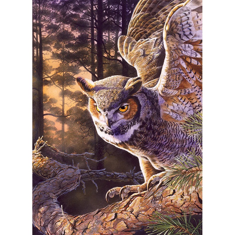 Evening Hunter