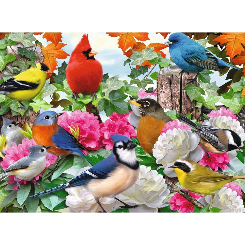 Garden Birds (500 piece)