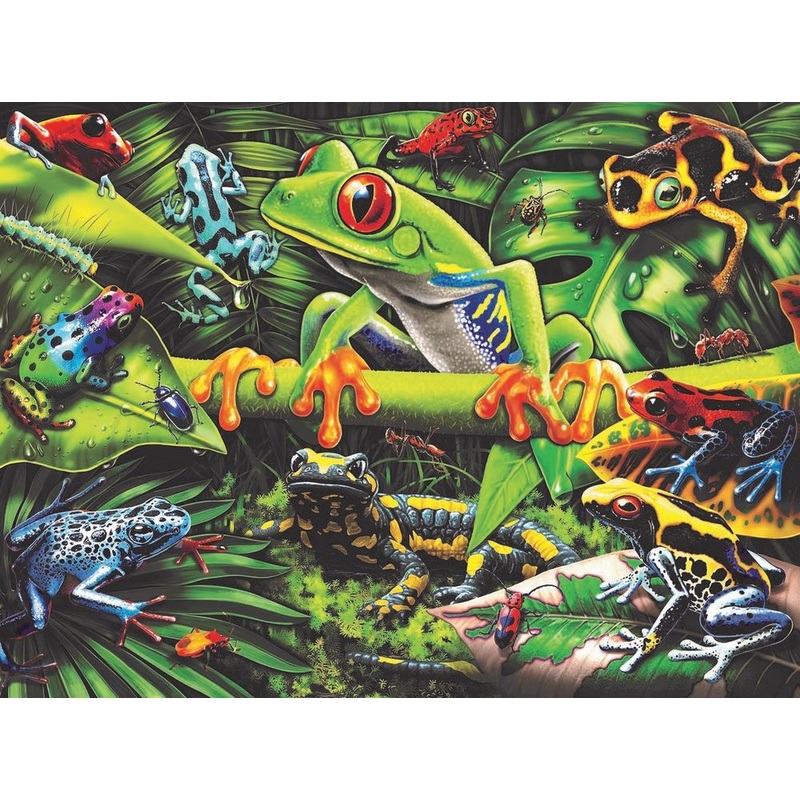 Amazing Amphibians (35pc)