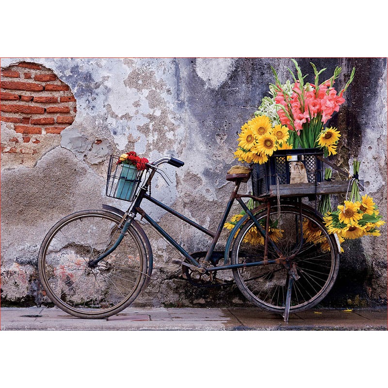 Bicycle with Flowers