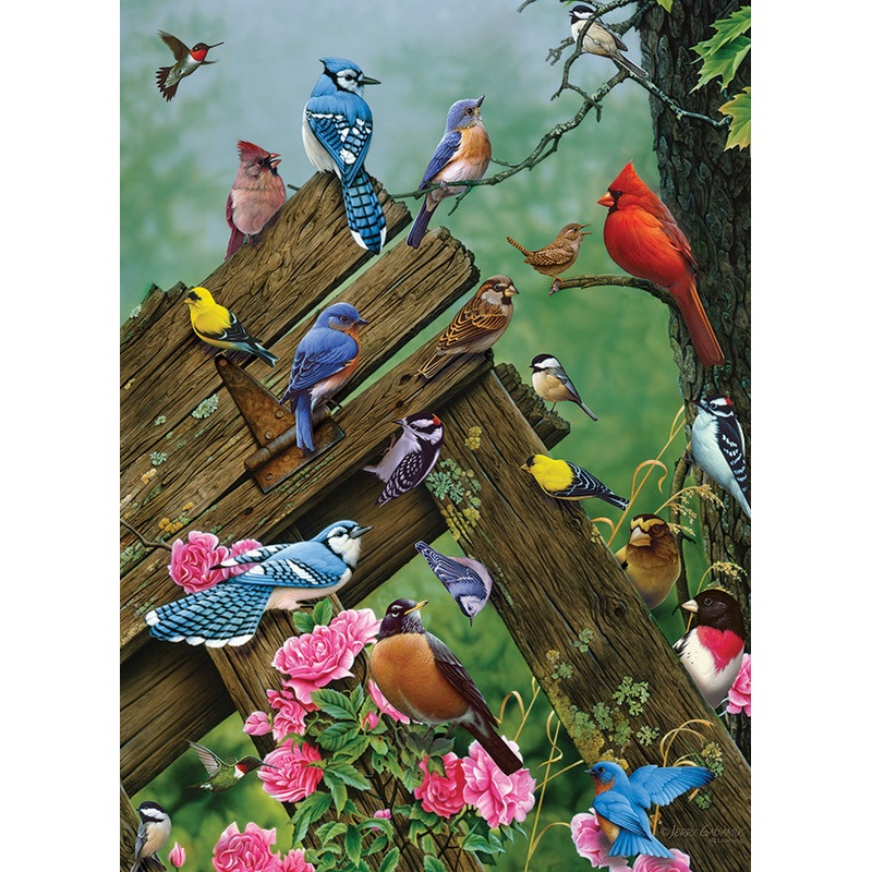 Birds of the Forest