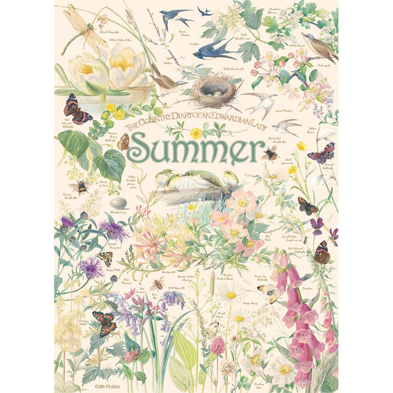 Country Diary: Summer