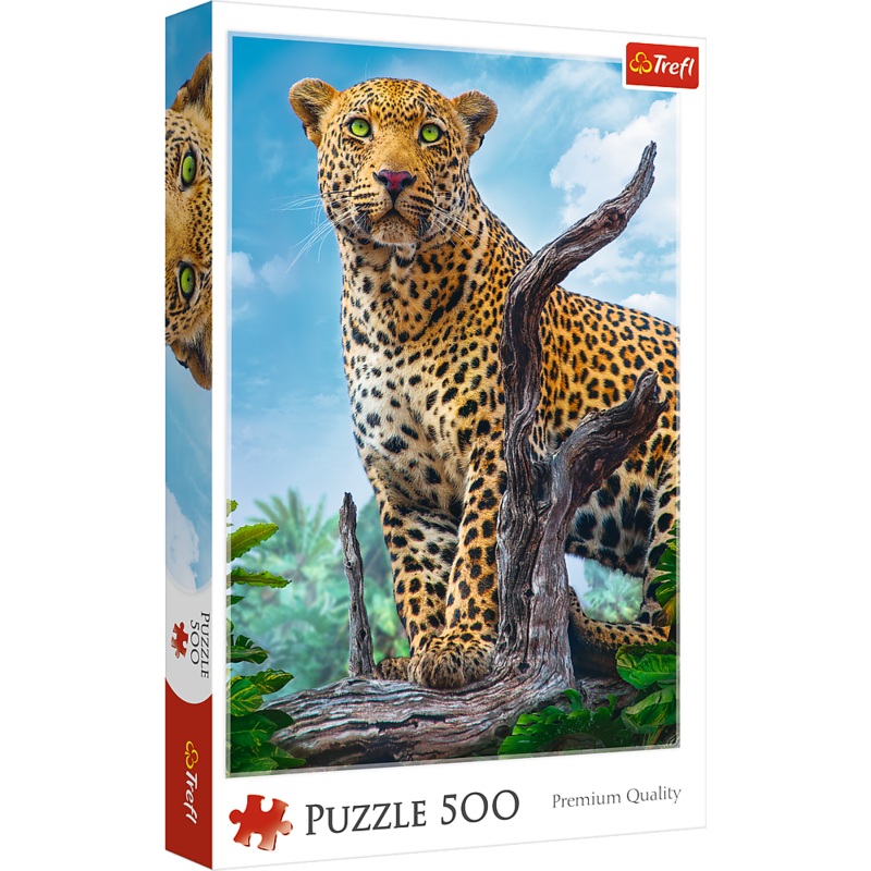 Wild Leopard