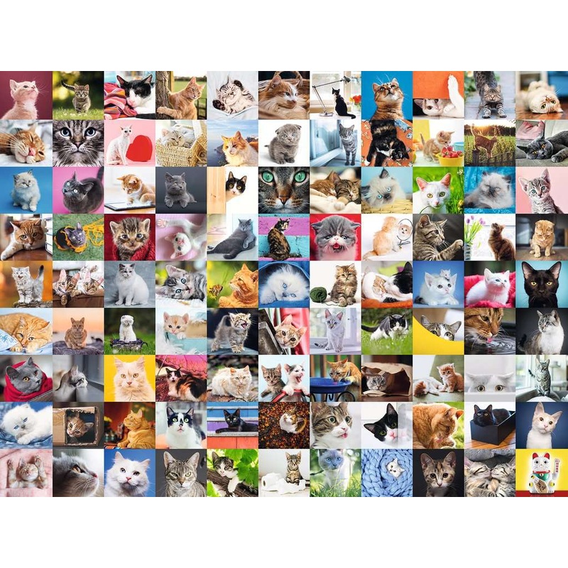 99 Cats (1500 piece) *