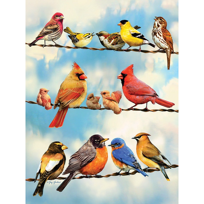Birds on a Wire