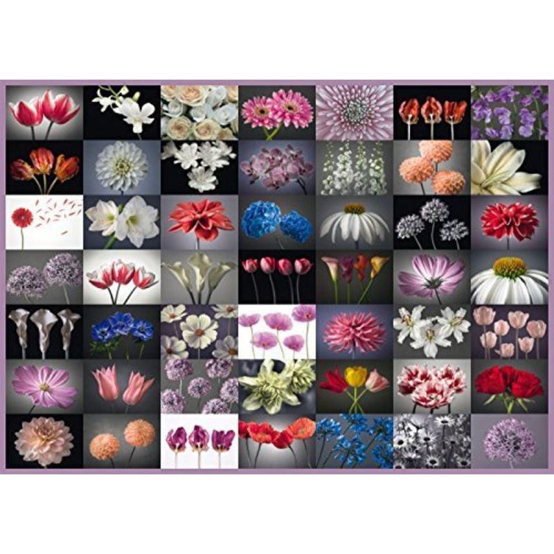 Floral Greeting (2000pc)