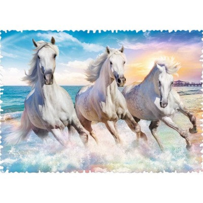 Galloping Among the Waves (600pc crazy shapes)