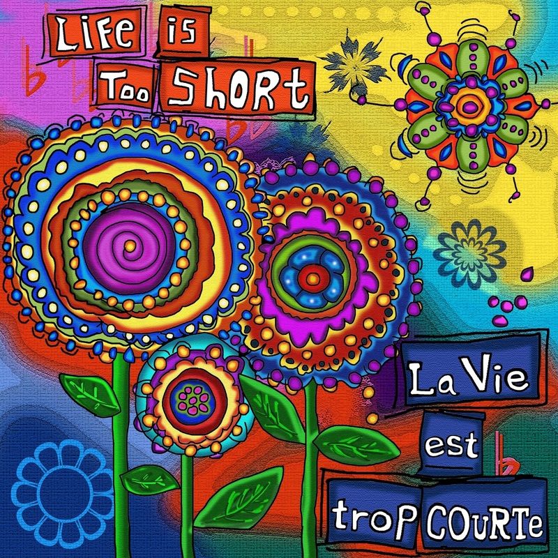 Jacarou Diamond Art - Life is Too Short