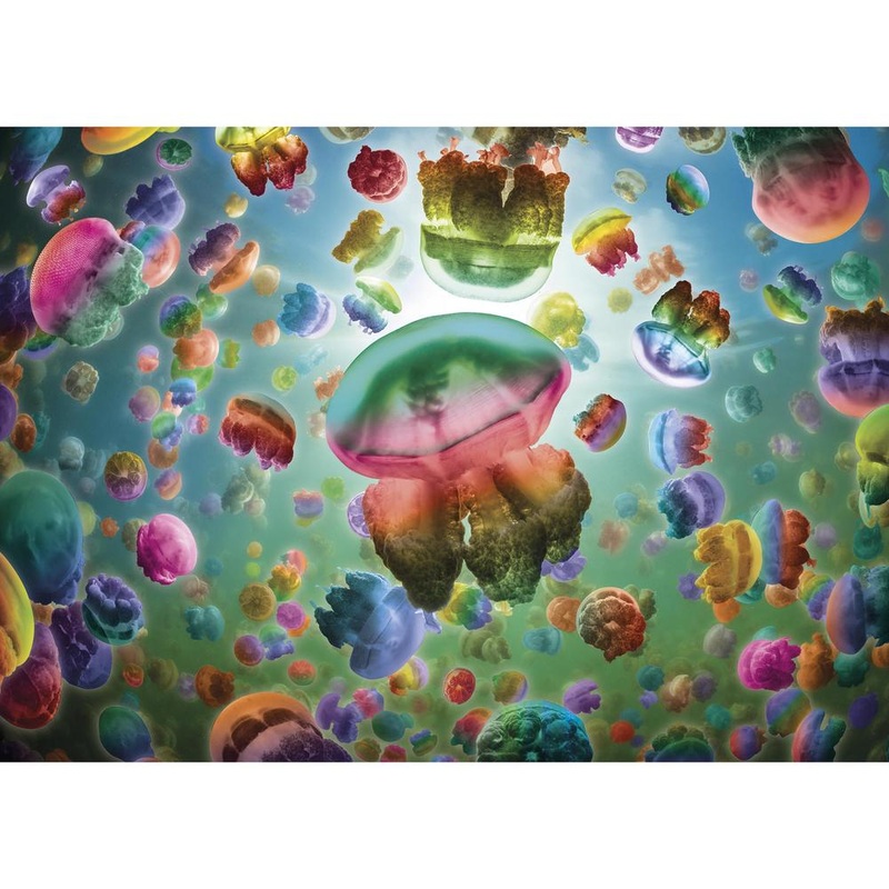 Jellyfish