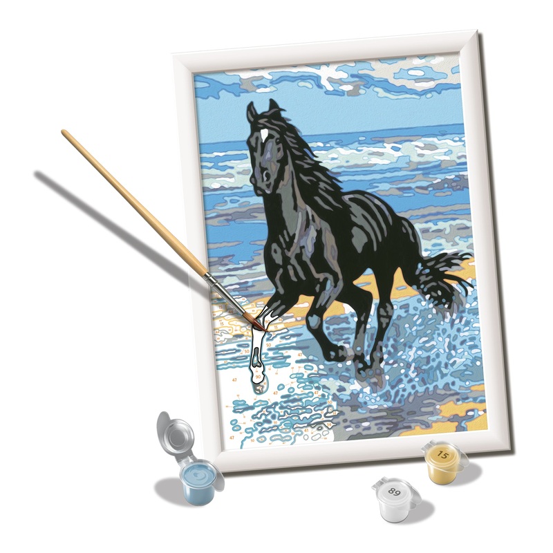 Beach Horse (CreArt Painting by Number)