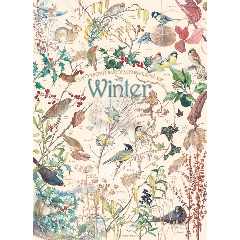 Country Diary: Winter