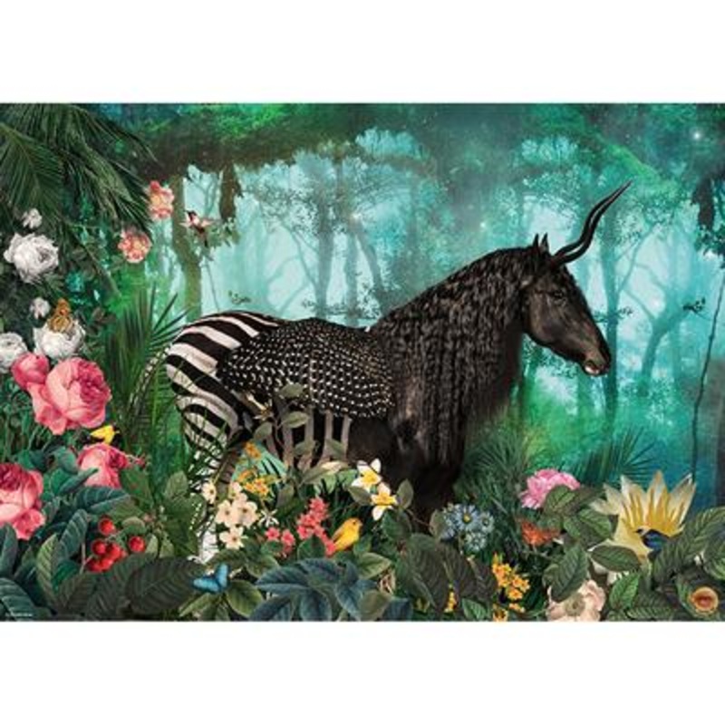 Equpidae (Heye)