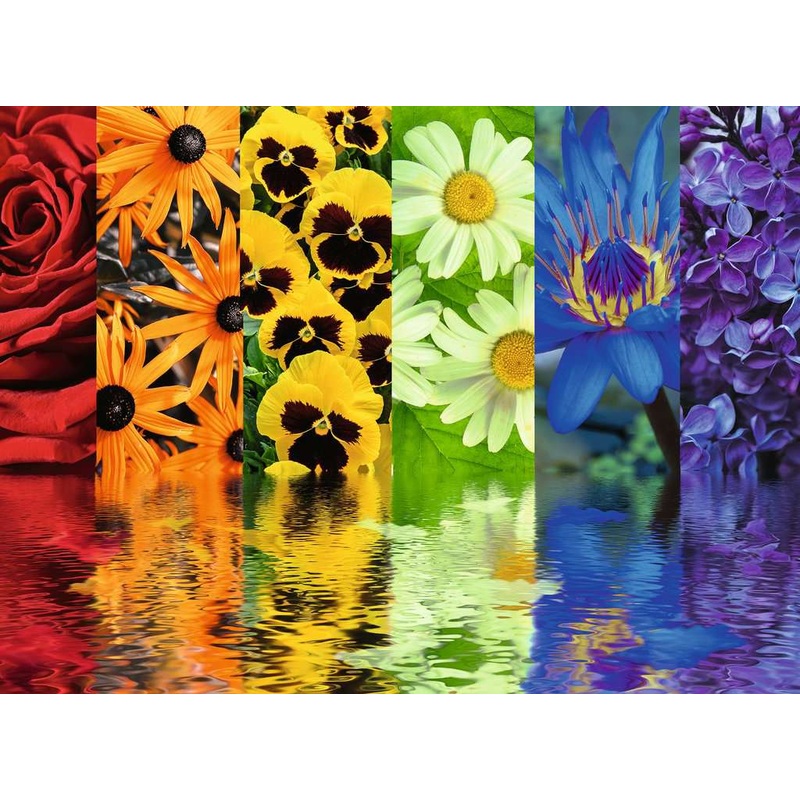 Floral Reflections (500 piece)