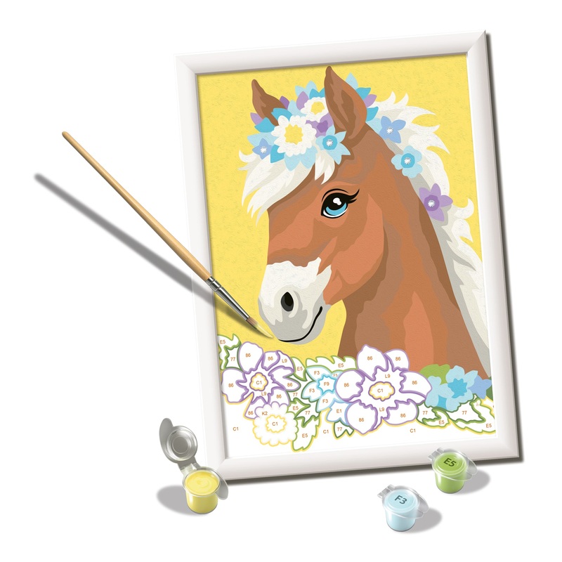 Horse With Flowers (CreArt Painting by Number)