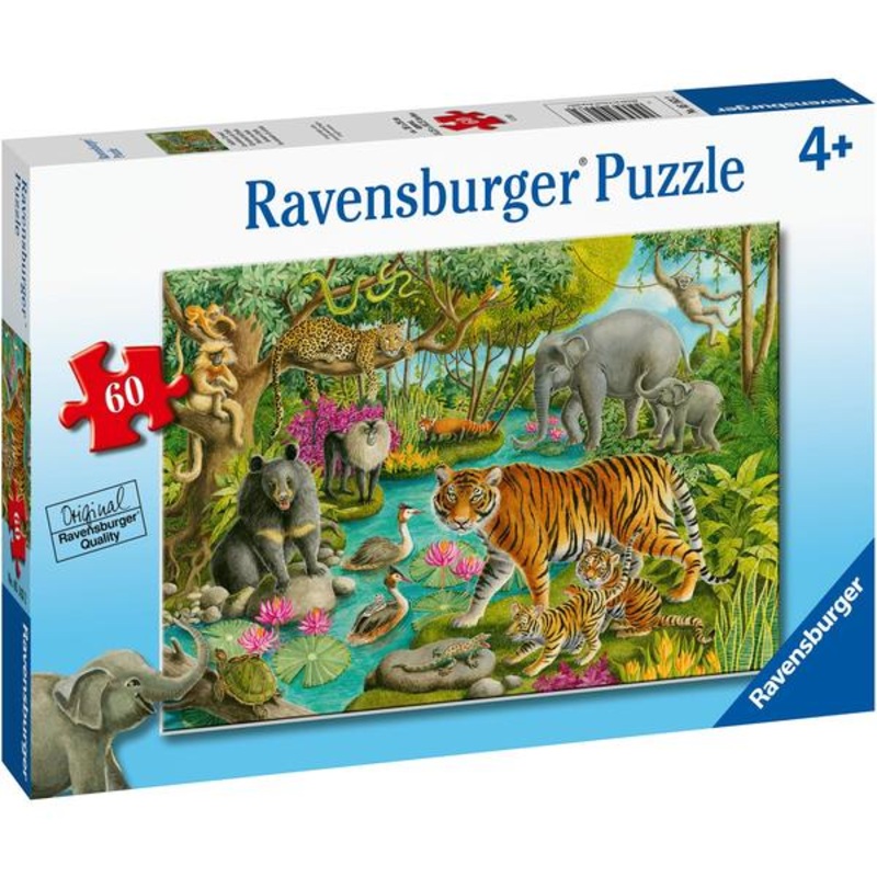 Animals of India (60pc)
