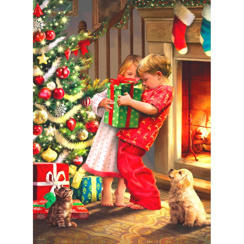 Christmas Surprise