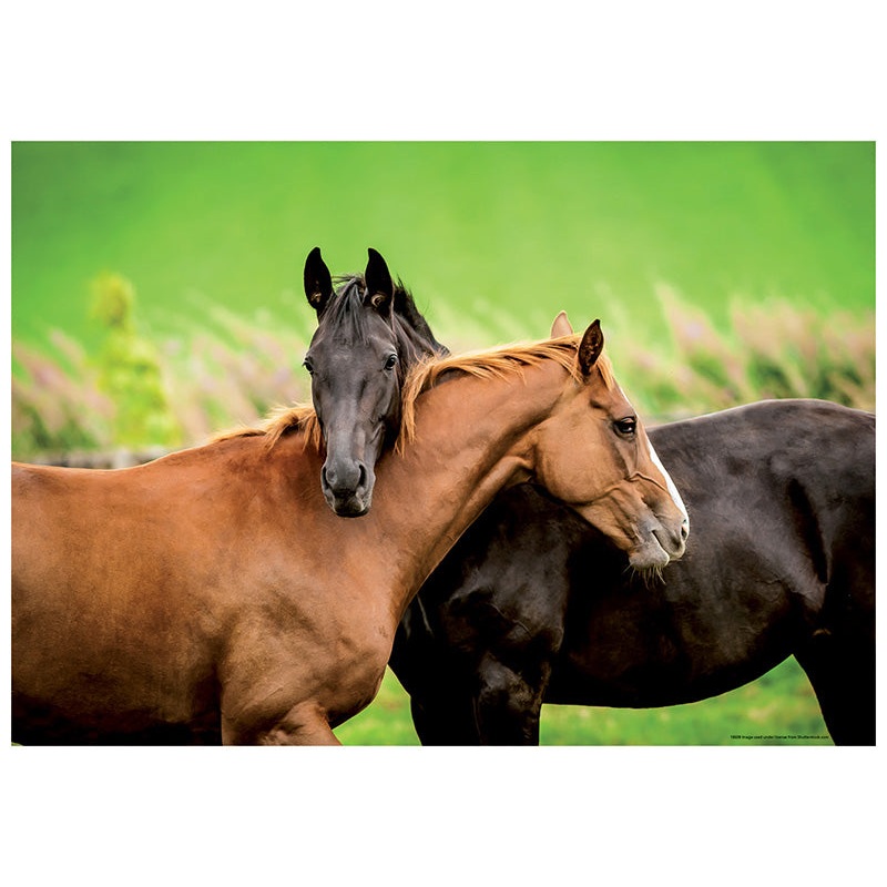 Horses (200pc)