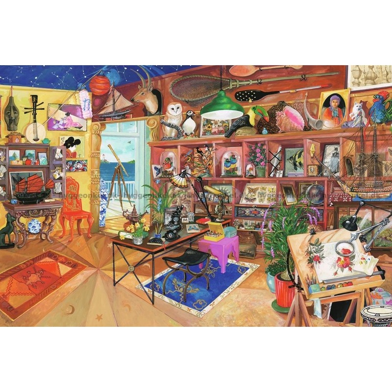 The Curious Collection (3000pc)
