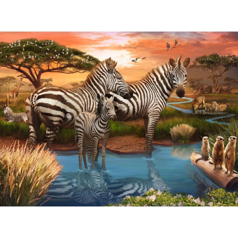 Zebra (500 piece)